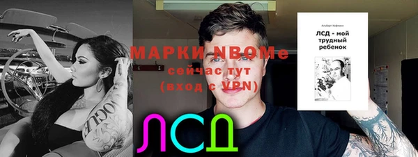 прущий лед Богородицк