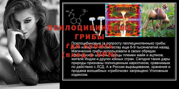 МДМА Богданович
