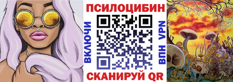 Купить закладки Лермонтов Псилоцибиновые грибы ЛСД